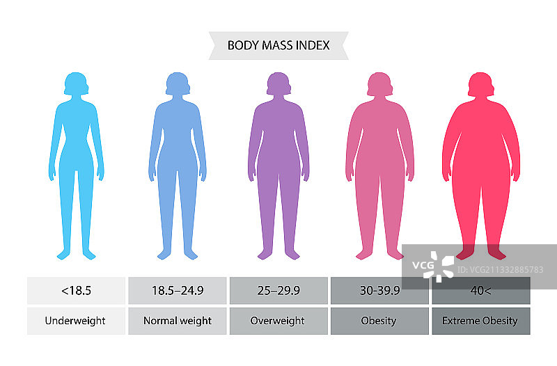 女性身体质量指数图片素材
