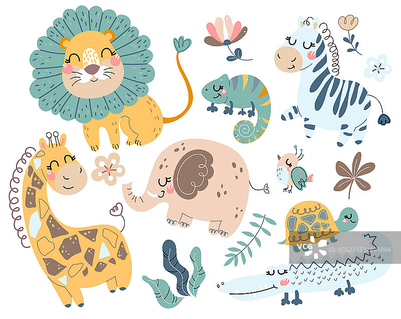 可爱的非洲野生动物图片素材