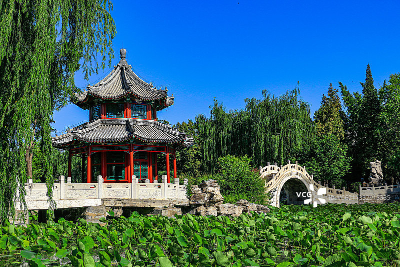 保定古莲花池图片素材