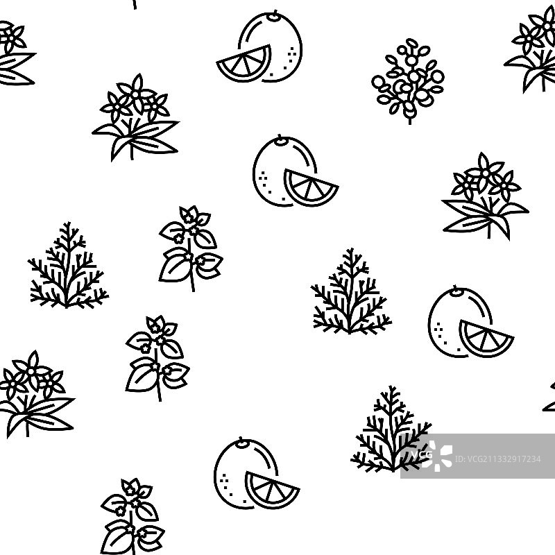 芳香疗法草药无缝图案图片素材