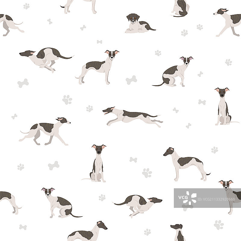 惠比特犬无缝图案（不同姿势和毛色）图片素材