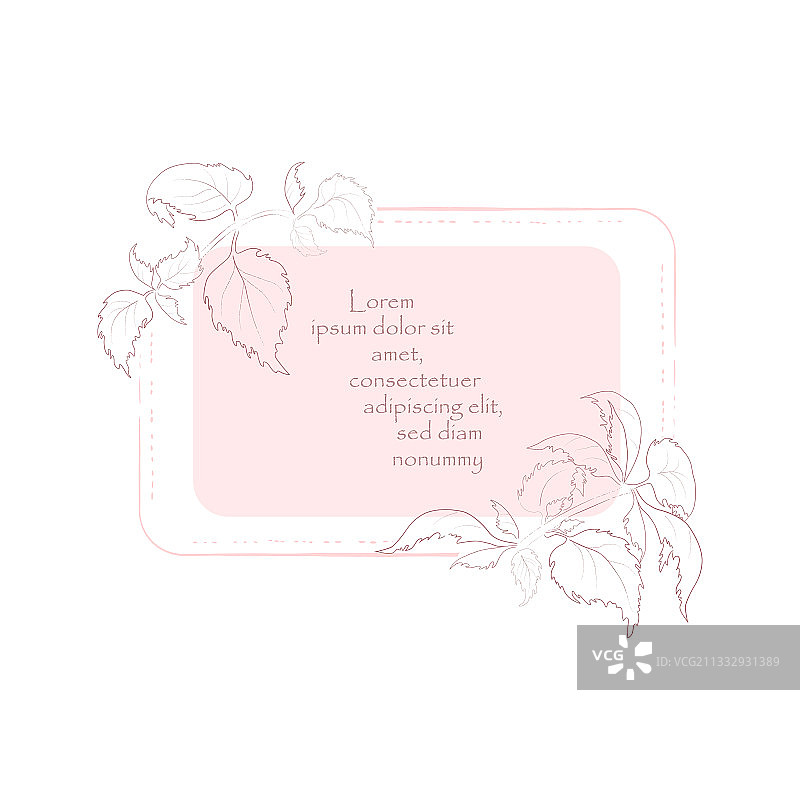 带紫苏枝条轮廓的复古边框图片素材