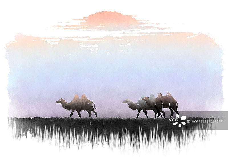 沙漠中的三只骆驼插画图片素材