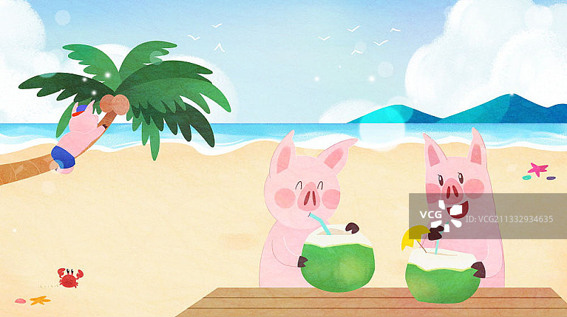 两只小猪喝椰子汁插画图片素材
