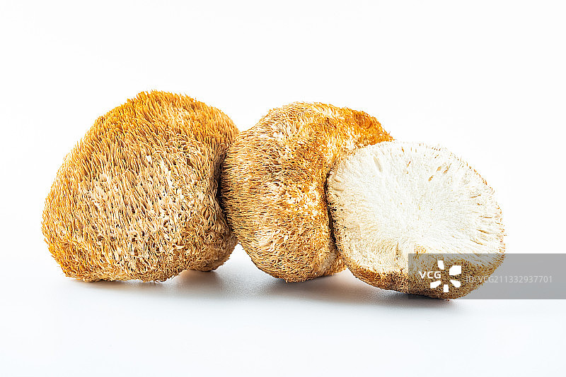 白背景上晒干的真菌食材猴头菌图片素材