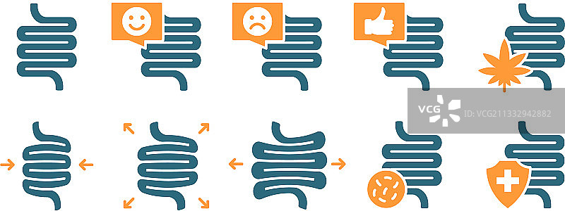 彩色人体肠道健康图标图片素材