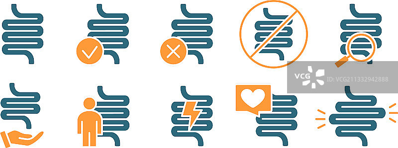 彩色人体肠道健康图标图片素材
