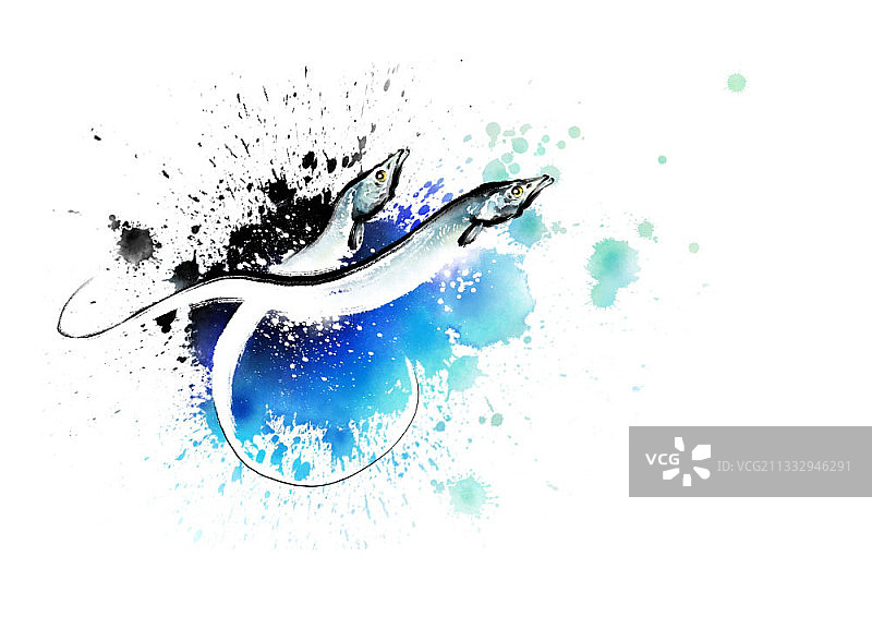 两条带鱼和海浪笔触画图片素材