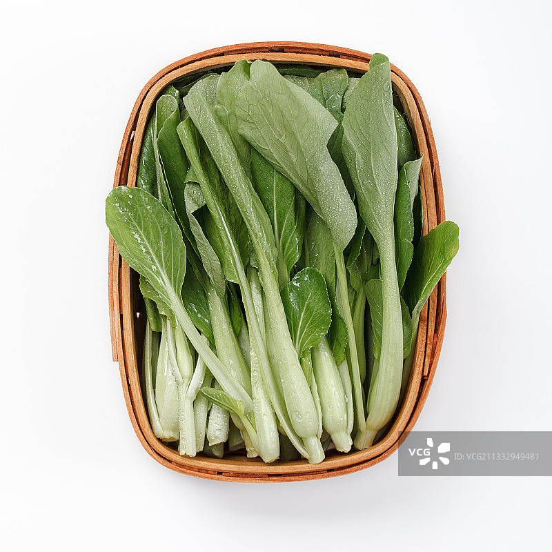 鸡毛菜图片素材