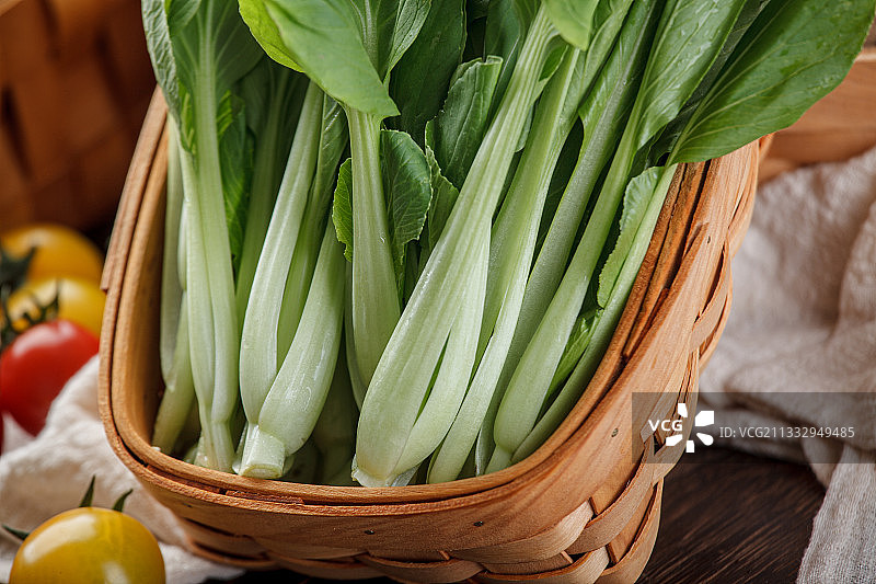 鸡毛菜图片素材