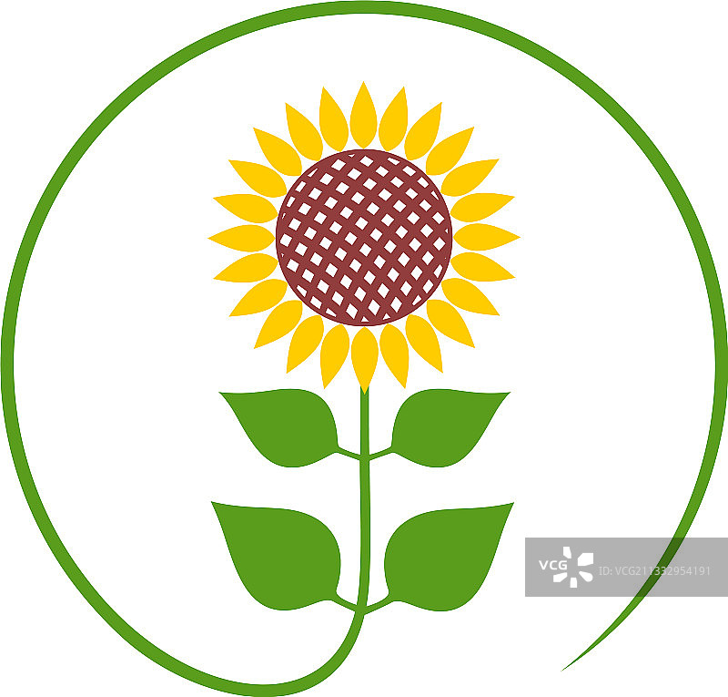 向日葵图片素材