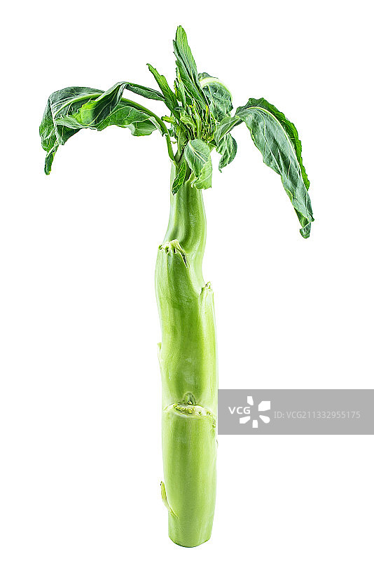 白背景上的新鲜粗芥蓝杆图片素材