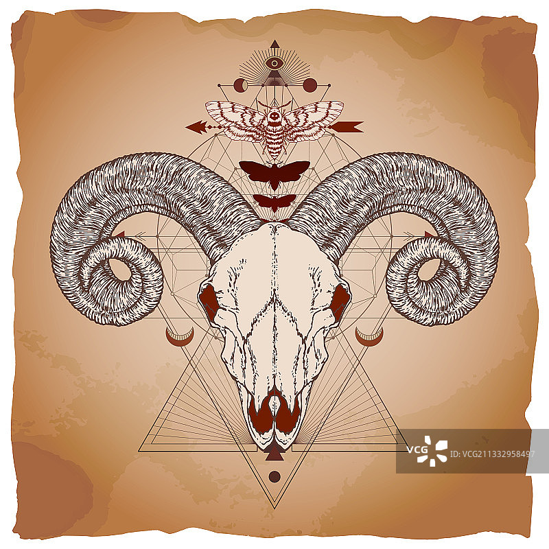 公羊头骨和骷髅飞蛾图片素材