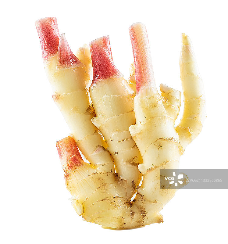 白背景上鲜嫩的生姜图片素材