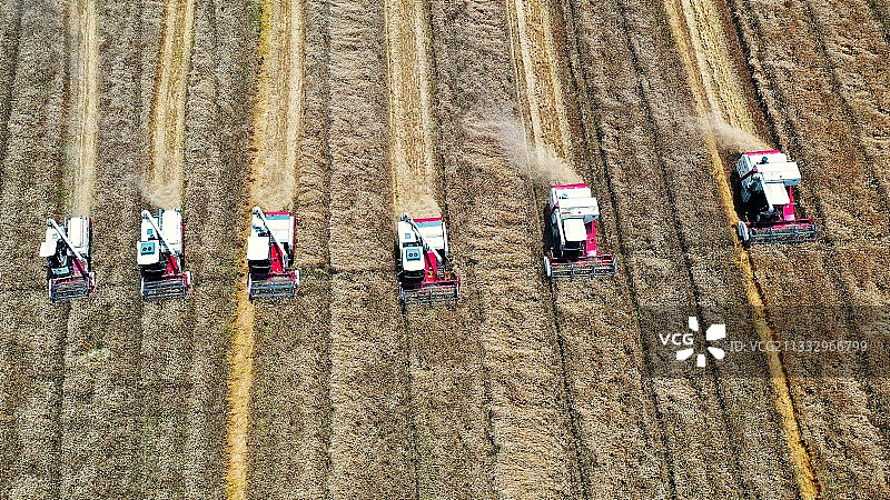 夏粮开镰，小麦丰收，拍摄于江苏省仪征市马集镇方营村图片素材