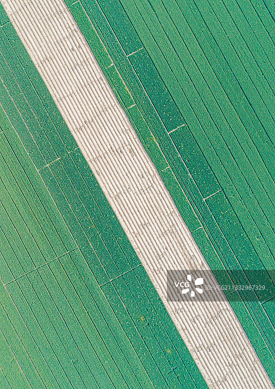 农田图案图片素材