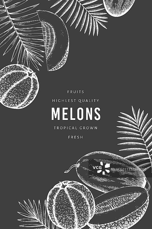 热带树叶哈密瓜设计模板图片素材