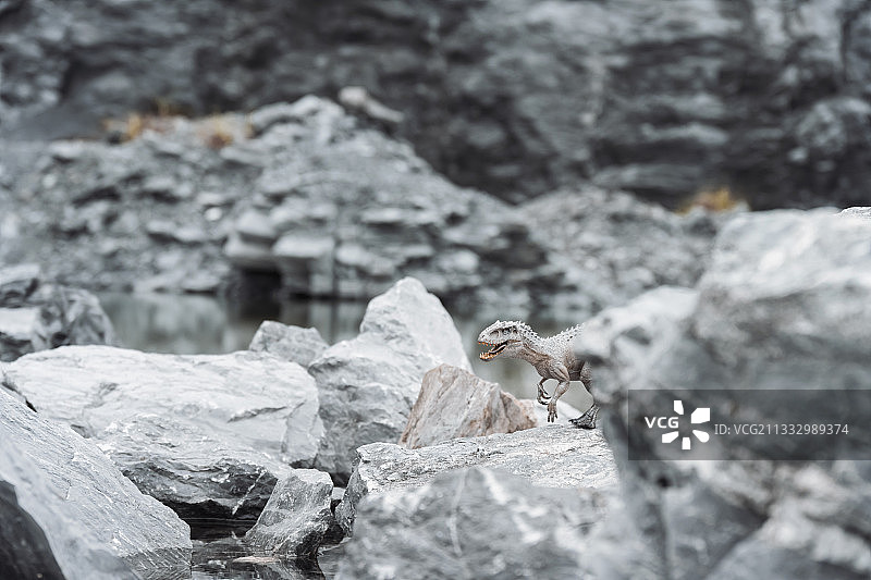 侏罗纪公园河边乱石堆沙滩食肉恐龙暴虐龙迅猛龙图片素材