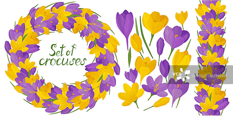 美丽番红花圆形边框图片素材