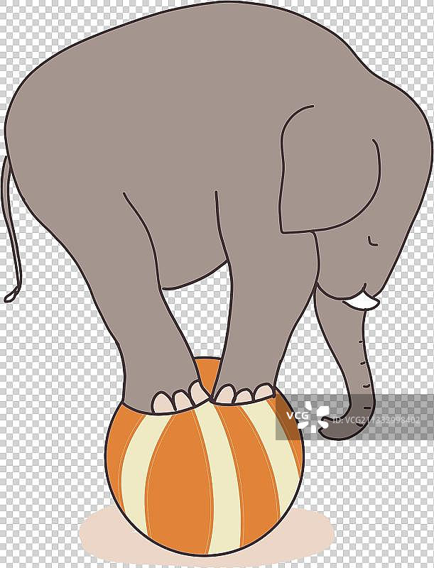 动物表演元素图片素材