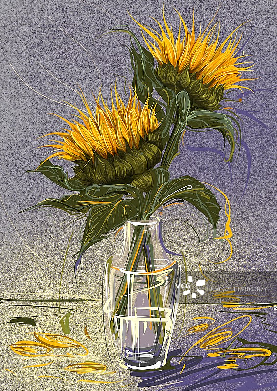 向日葵图片素材