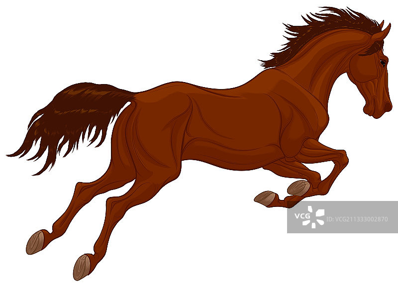 骏马跃起颈部弯曲图片素材