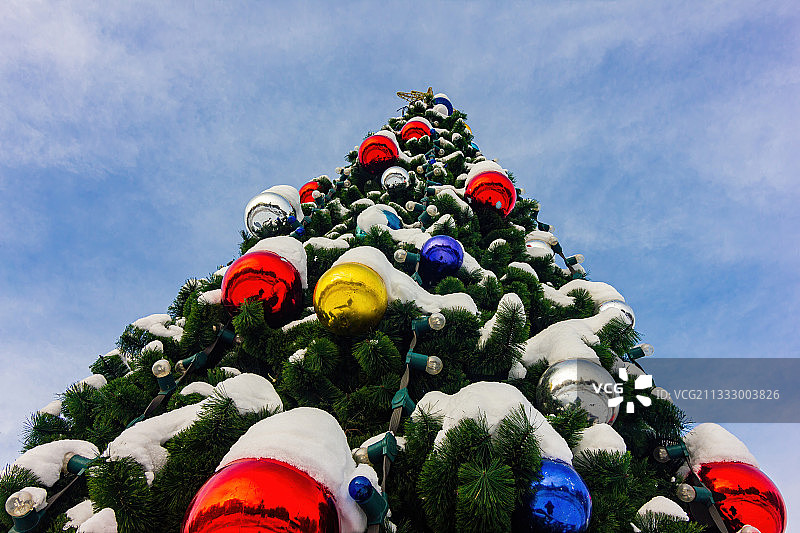 仰视角度拍摄的俄罗斯圣诞树图片素材