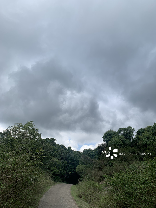 空无一人的道路，树木与天空相映成辉图片素材