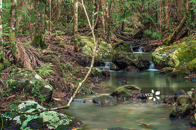 澳大利亚森林河流风光图片素材