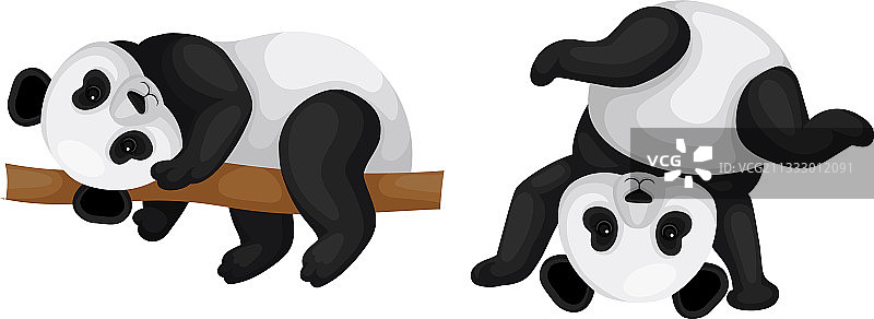 黑白大熊猫图片素材