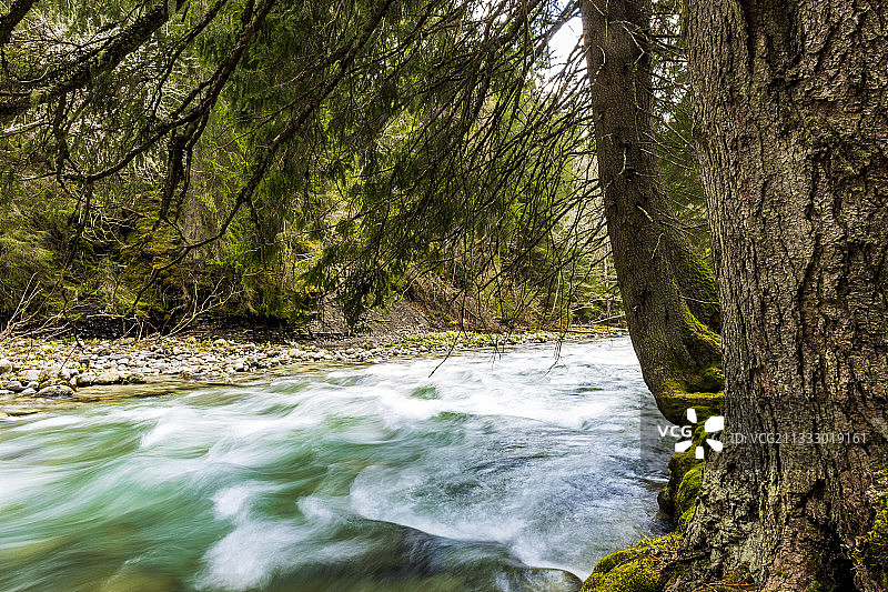 河流穿梭森林美景图片素材