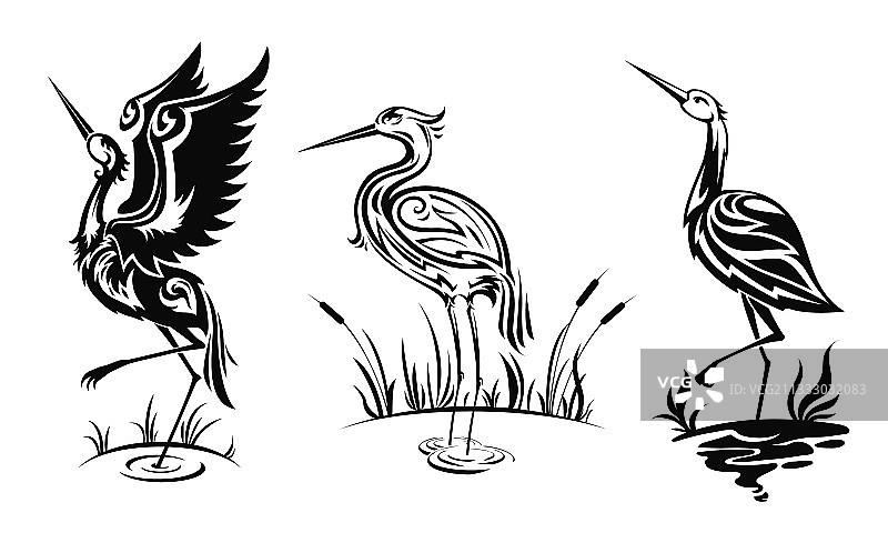 苍鹭或涉禽图标图片素材