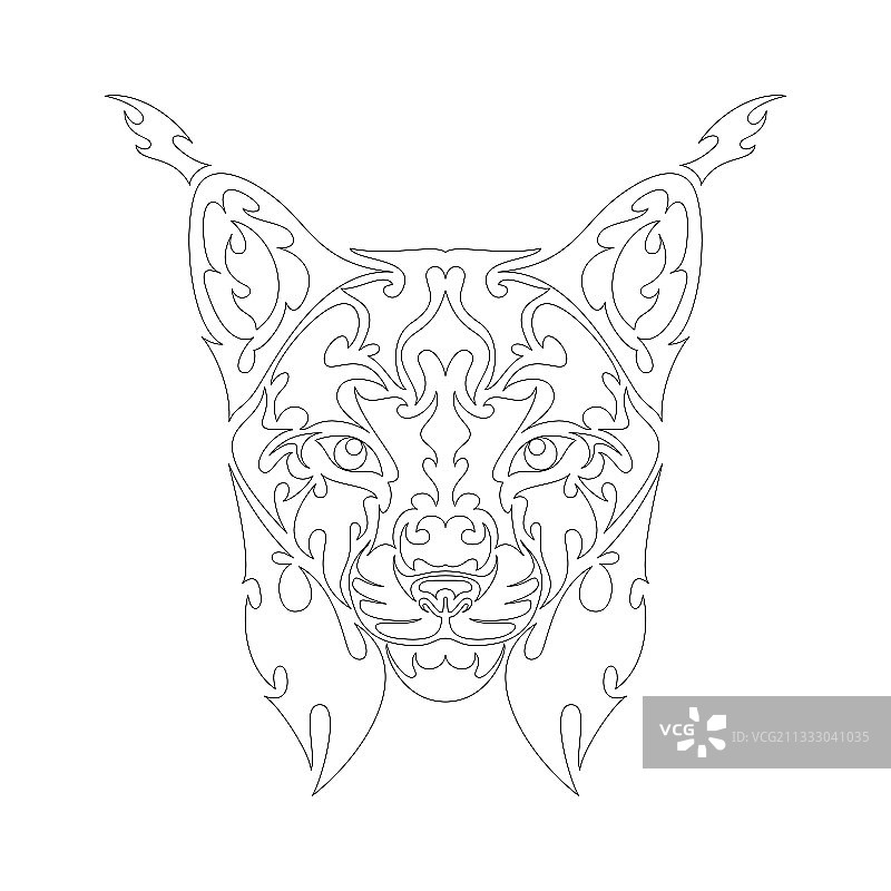 手绘抽象风格猞猁肖像图片素材