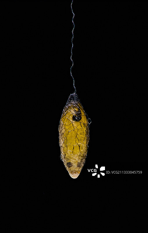 黑夜里的一盏灯图片素材