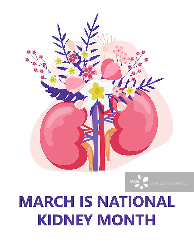 全国肾脏月健康护理概念图片素材