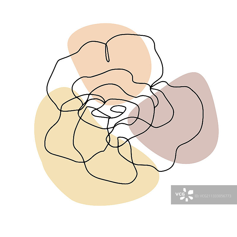 极简风格花卉艺术卡片设计图片素材