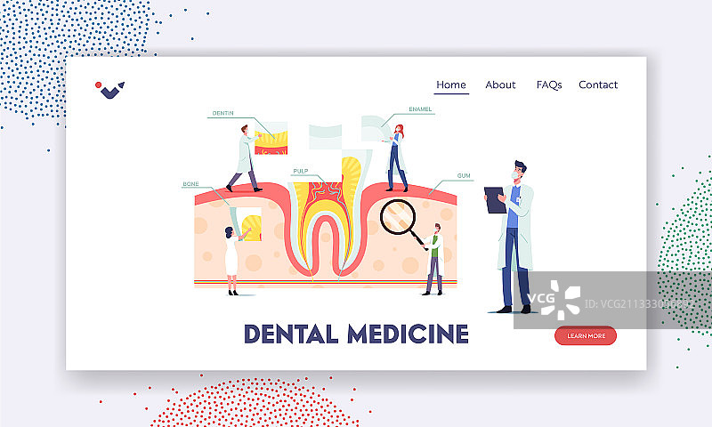牙齿解剖结构登录页模板图片素材