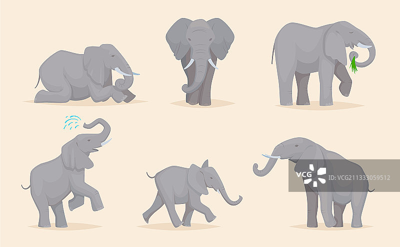 可爱非洲野生动物大象图片素材