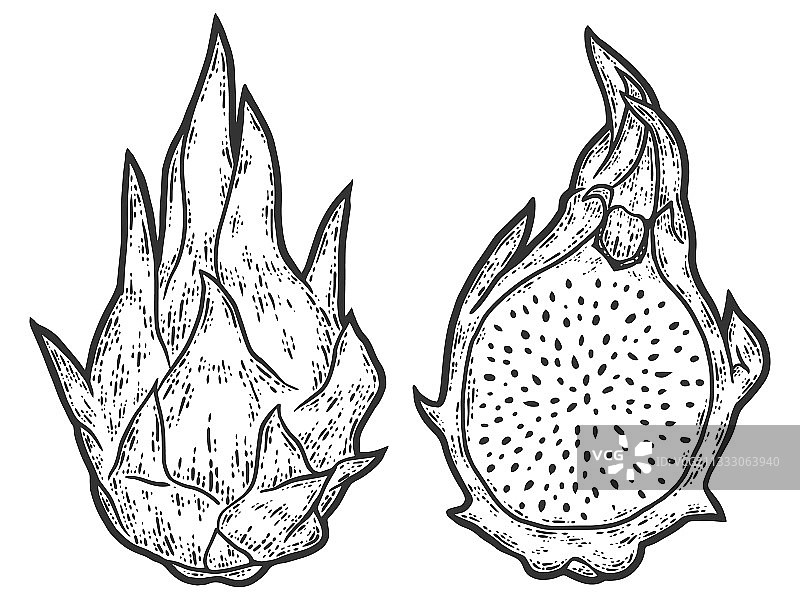 火龙果切块水果素描草图图片素材