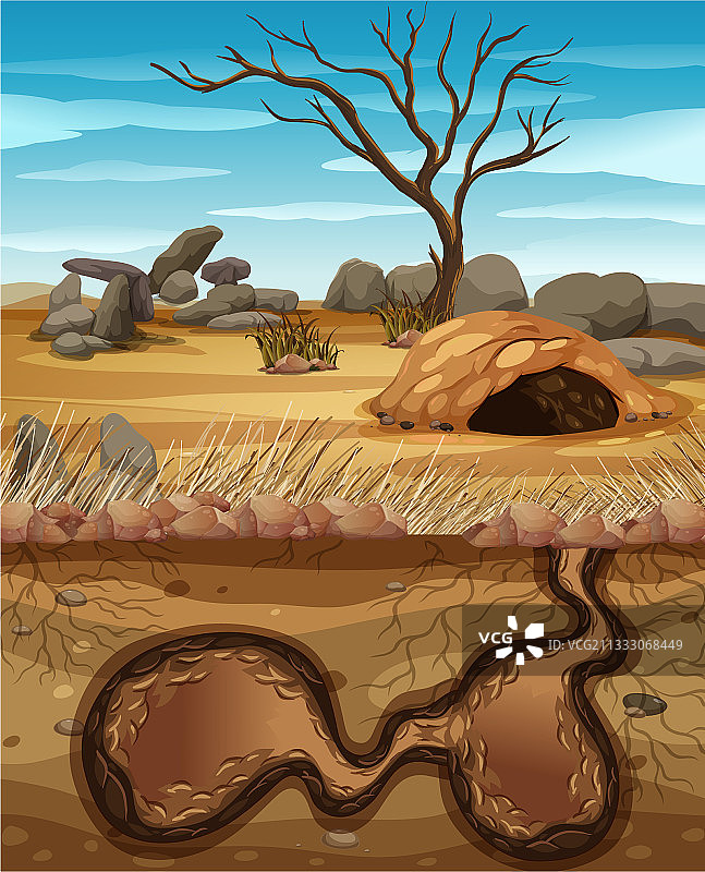 空的地下动物洞穴图片素材