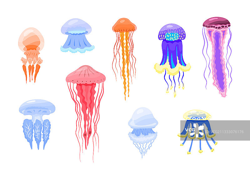 卡通彩色不同类型的水母图标合集图片素材