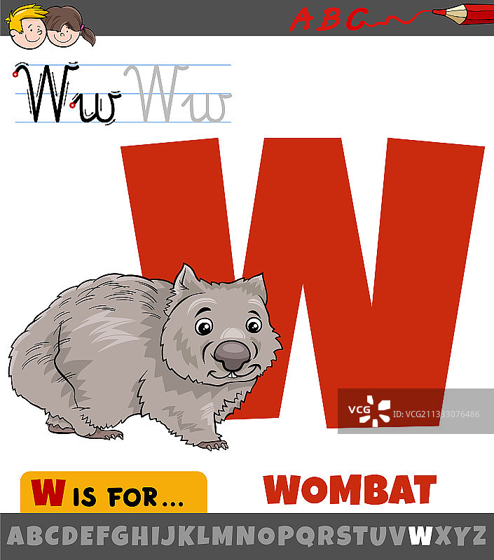 卡通袋熊动物字母W图片素材