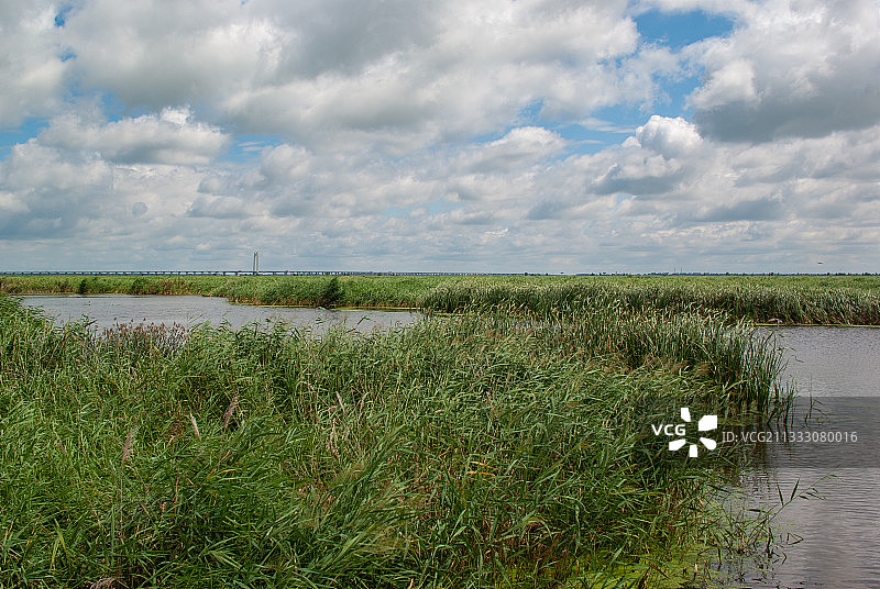 湿地风光图片素材