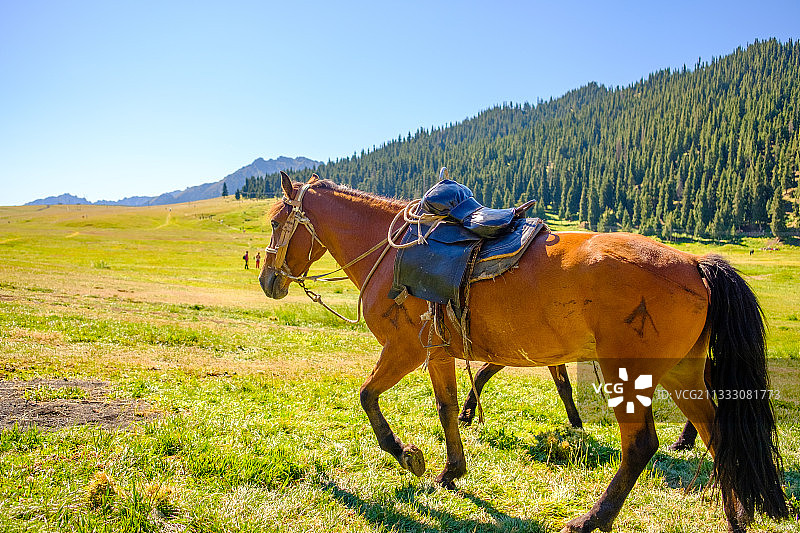 新疆天山大峡谷草原图片素材