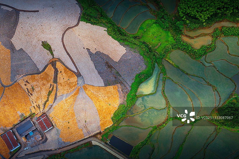 安徽郑村宣纸晒草场图片素材