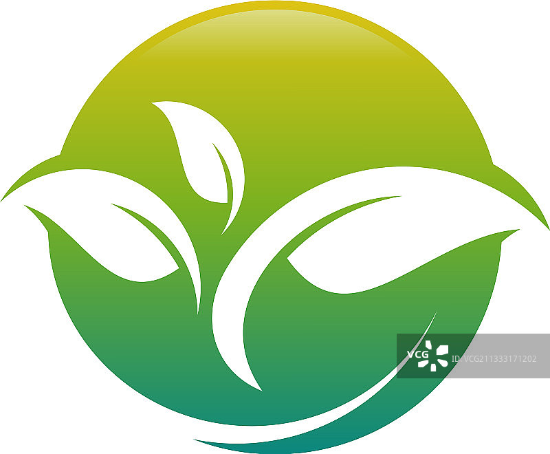创意叶子概念标志设计模板图片素材
