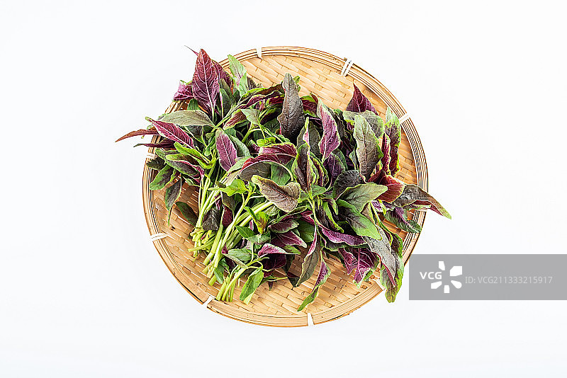 白背景上的红苋菜图片素材