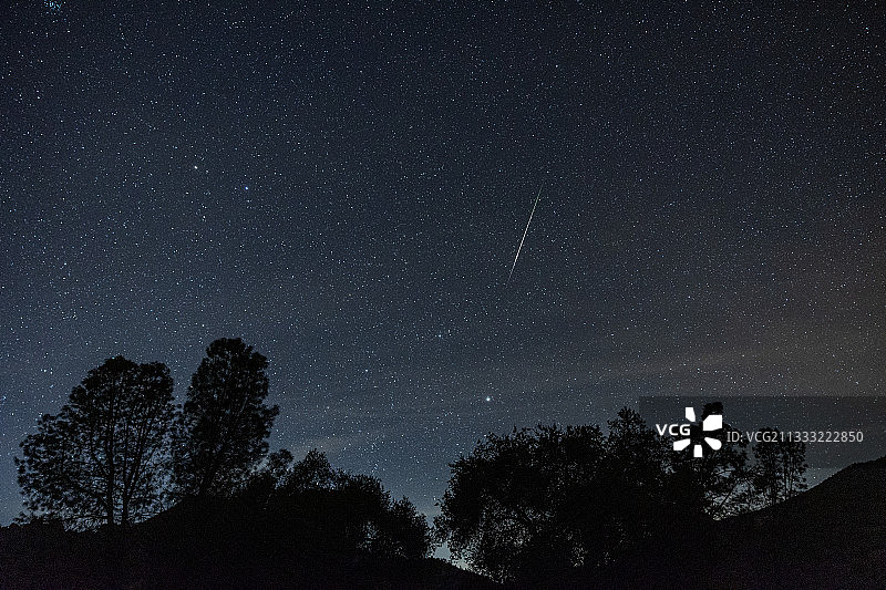 美国加州尖峰国家公园夜空树木剪影图片素材