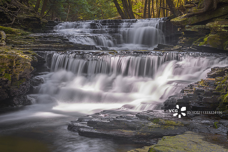 美国盐泉州立公园森林瀑布风景图片素材