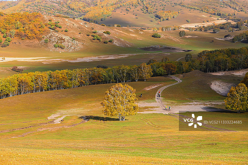坝上.秋意浓图片素材